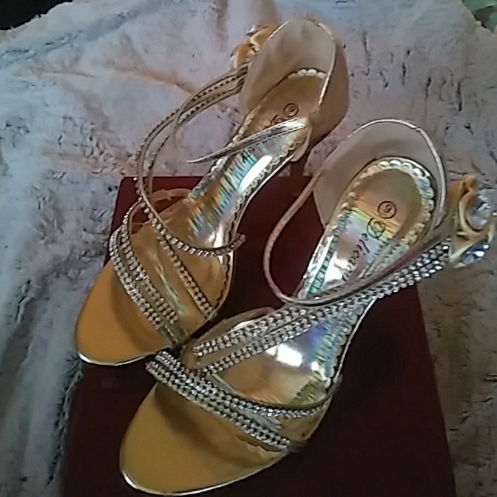 New Beautiful princess shoes, click your heels